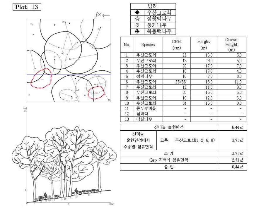 조사지 13의 수관투영도(왼쪽 위) 및 입면도(왼쪽 아래), 조사지에 나타나는 수종의 흉고직 경과 수고(오른쪽 위), 그리고 산마늘 출현면적(오른쪽 아래).
