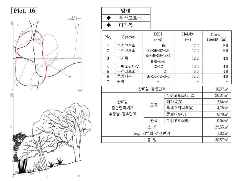 조사지 16의 수관투영도(왼쪽 위) 및 입면도(왼쪽 아래), 조사지에 나타나는 수종의 흉고직 경과 수고(오른쪽 위), 그리고 산마늘 출현면적(오른쪽 아래).