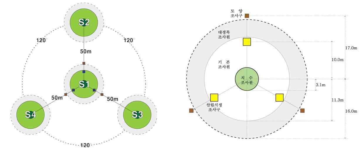 그림 53. 집락표본점 및 중앙부표본점(S1)의 구조
