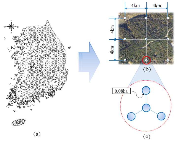 그림 124. 제5차 국가산림자원조사 표본점 위치 및 기본 구조