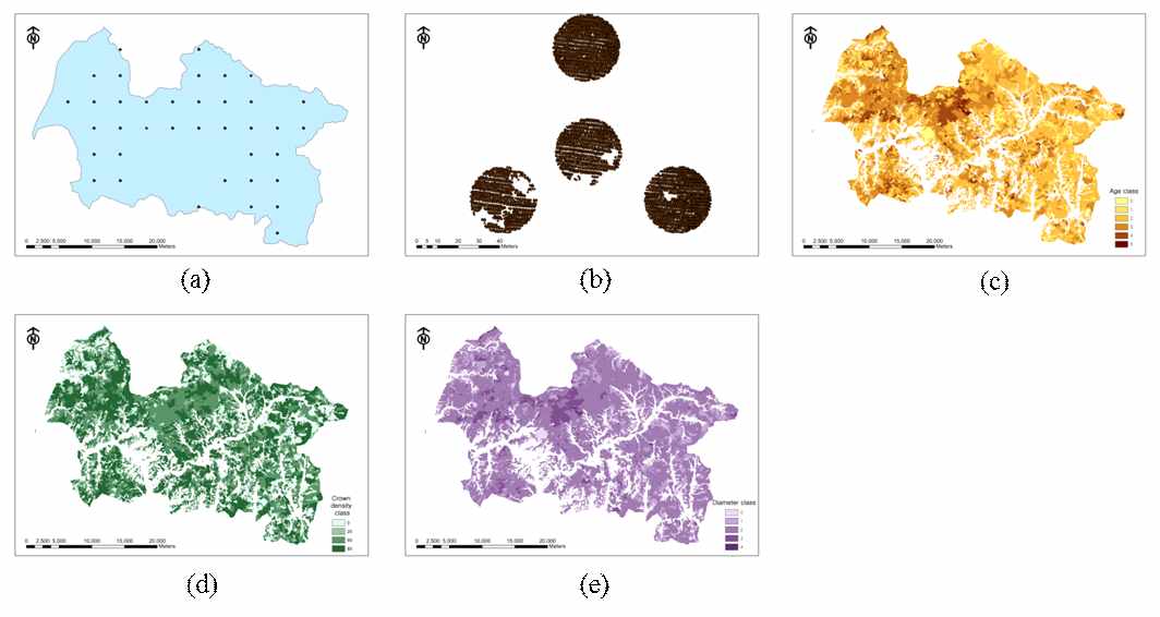 그림 131. (a) 연구대상지 내 NFI Plot의 위치, (b) NFI Plot 내 LiDAR return의 분포, (c) FTM기반의 영급분포, (d) FTM 기반의 경급분포, (e) FTM 기반의 수관밀도 분포