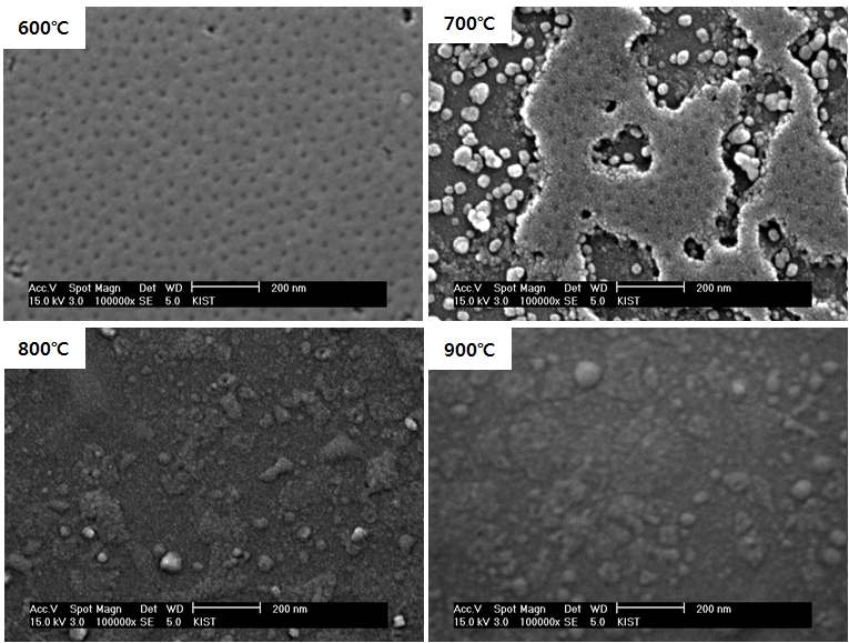 그림 43. 탄화 온도별 탄화 후 경화된 PS-b-P2VP/resol혼합물의 SEM 이미지