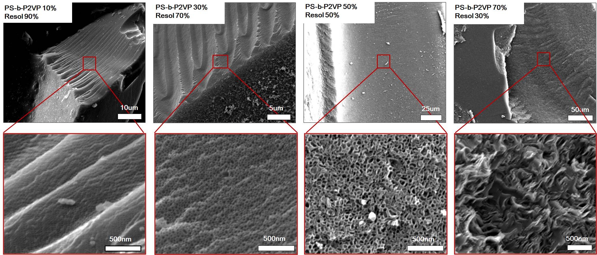 그림 47. 각기 다른 조성비를 갖는 PS-b-P2VP/resol로부터 얻은 탄화 벌크 샘플의 나노구조 전자주사현미경 이미지
