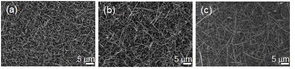 그림 3-6. 그래핀 상에 다양한 두께의 니켈(nickel) 촉매를 이용해 성장된 질화갈륨