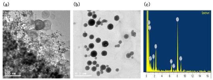액상 나노 영가구리의 TEM 사진 (a, b)과 TEM-EDS (c)