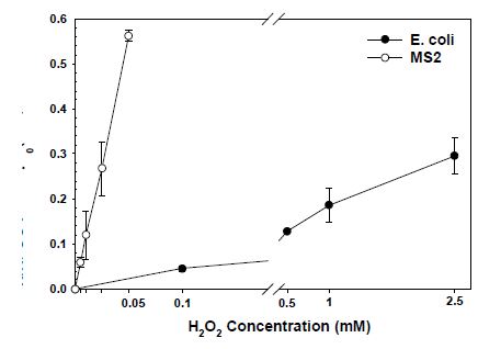 Cu(II)/H2O2 시스템의 E. coli와 MS2의 불활성화 속도