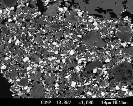 Umicore사의 LNT 촉매 HR-EPMA 사진 (ORNL 자료)