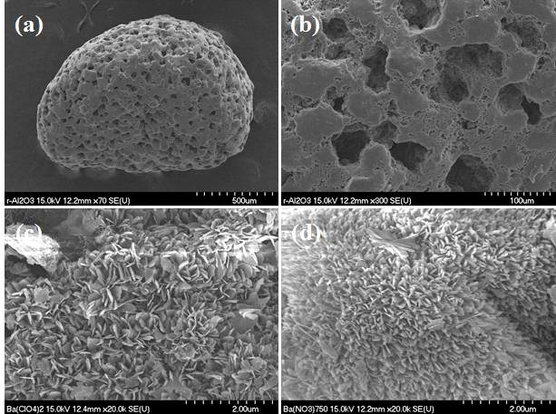 SEM micrographs of (a) pristine Al2O3, (b) the high magnification of (a),