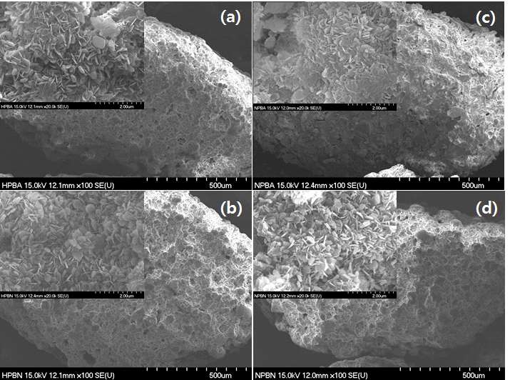 SEM micrographs of Ba-Pt/Al2O3. Pt and Ba precursor : (a) H2PtCl6·6H2O and