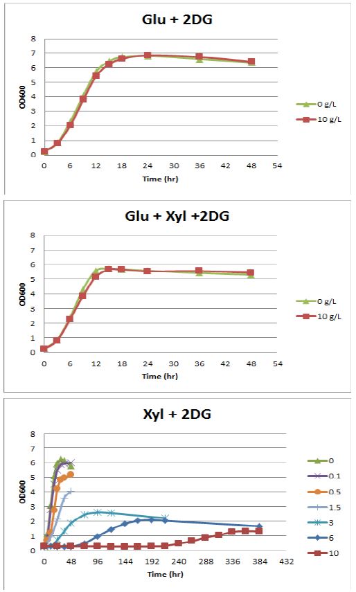 각각 포도당, 포도당과 자일로스의 혼합당, 자일로스가 첨가된 배지에 각기 다른 농도의 2DG를 첨가한 배지에서의 ATCC 25755의 생장곡선