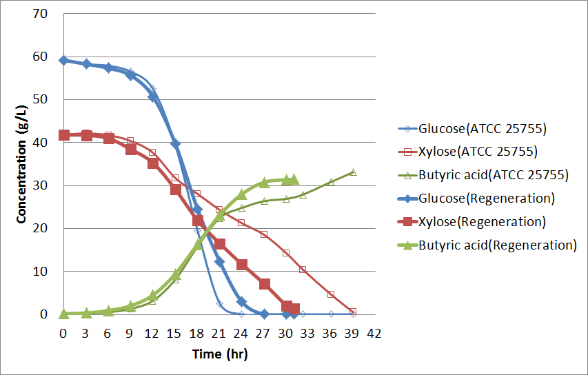 Regeneration된 균주와 parent strain (ATCC 25755)의 발효조에서 부티르산의 생산 비교