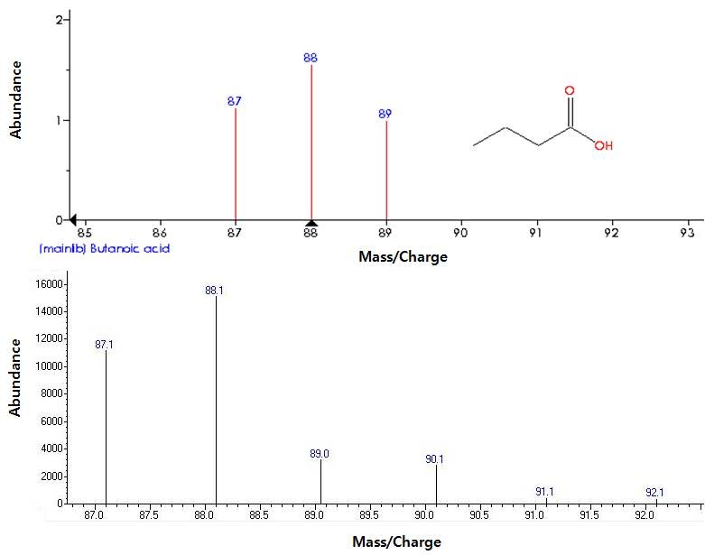 13C가 레이블된 젖산을 첨가한 배지에서 신규한 클로스트리디움 타이로부티리쿰S1을 이용하여 발효한 부티르산의 GC-MS(Gas Chromatography-Mass Spectrometry)분석 결과