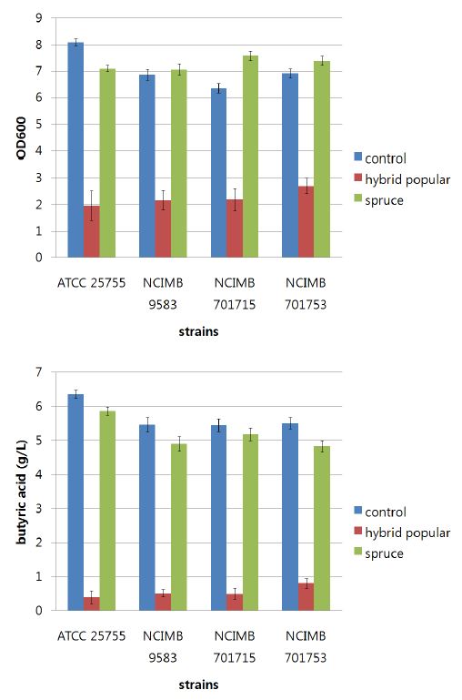 당화액에서의 균주 생장 및 부티르산 생산 비교
