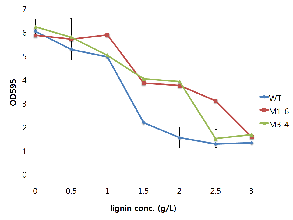 리그닌 농도에 따른 돌연변이 균주의 성장 비교