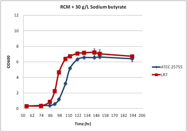 30 g/L의 sodium butyrate를 함유한 RCM 배지에서 parent strain과 돌연변이 균주의 생장