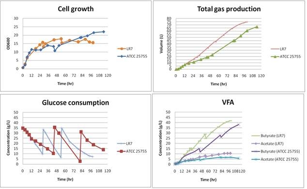 C. tyrobutyricum ATCC 25755과 고농도 유기산 내성 돌연변이 LR7에 대한 fed-batch fermentation 결과