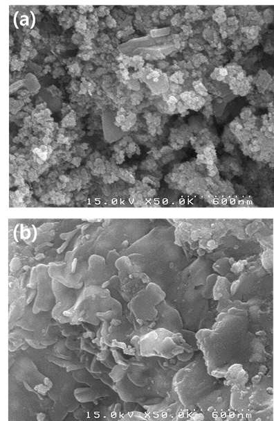 Katalco 83-3M 상용 촉매의 SEM 사진. (a) 반응전, (b) 반응후.