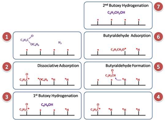 Butyl butyrate의 수첨분해반응 메커니즘