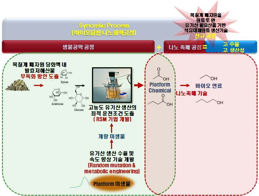 본 연구개발의 개요도