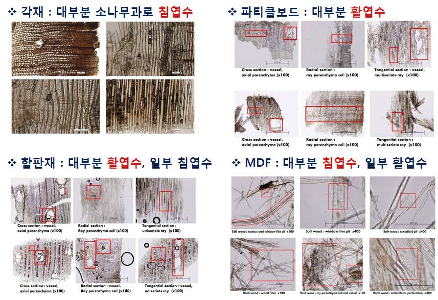 건설폐목재 수종분석