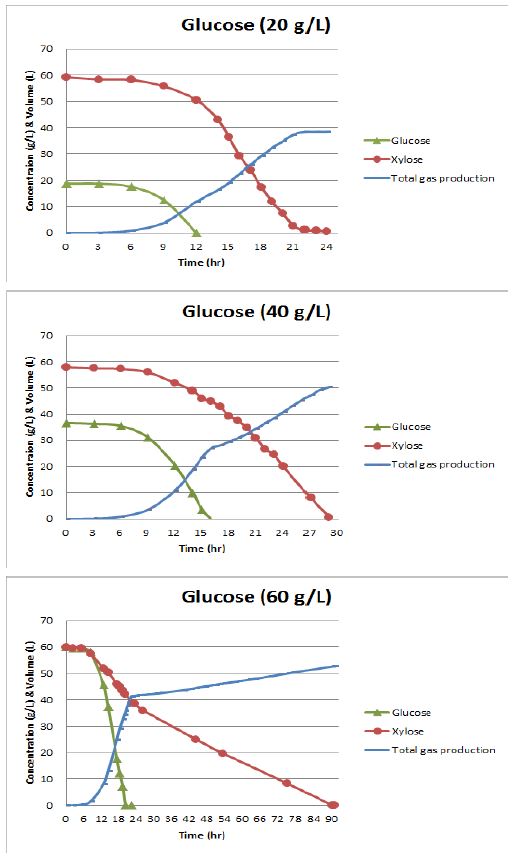 포도당의 농도를 달리한 자일로스 혼합 배지에서의 ATCC 25755의 당소모 및 총 가스 생산 경향 비교