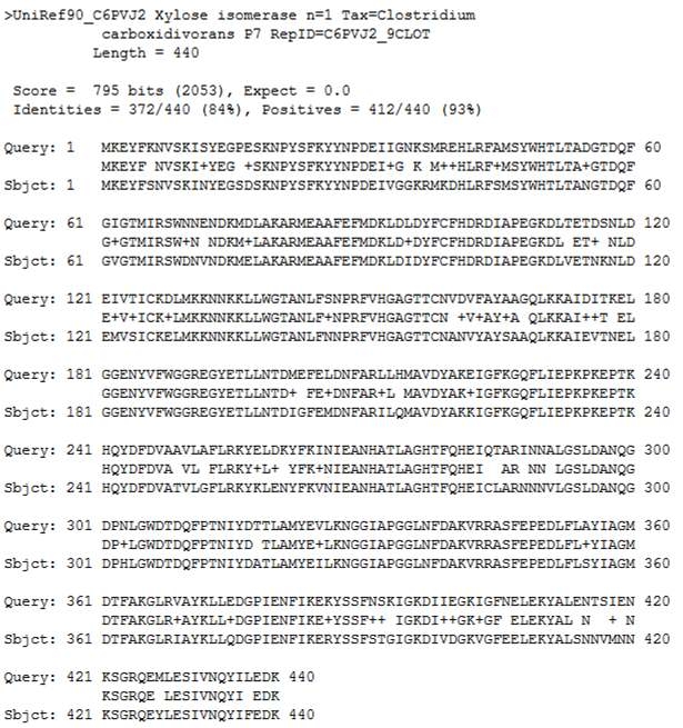 ATCC 25755의 xylose isomerase 아미노산 서열의 BLAST search 결과