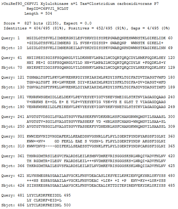 ATCC 25755의 xylulokinase 아미노산 서열의 BLAST search 결과