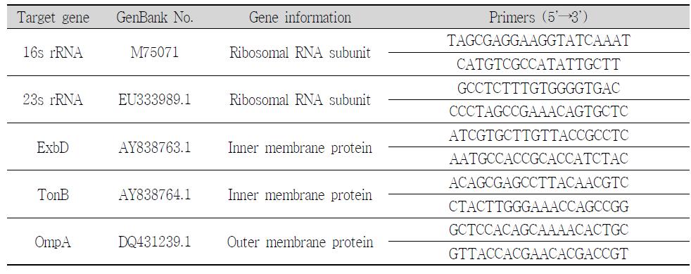 PCR primers used in this study