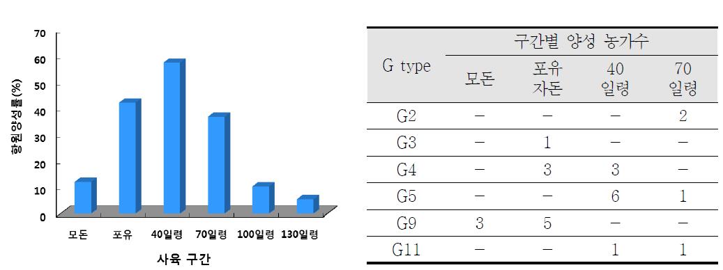 지정양돈장 및 비정기 의뢰 설사 발생 농장에 대한 RotaV 검색 결과