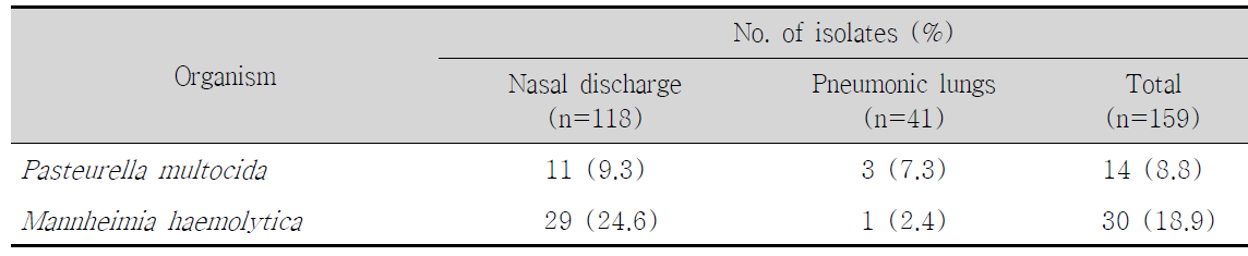 Isolation of pneumonic bacteria from respiratory diseased goats