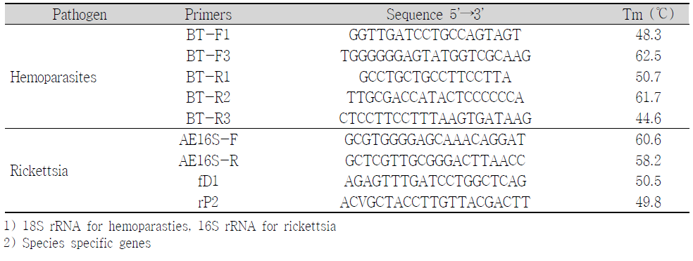 PCR primers for detection of pathogens in blood and tick from goats