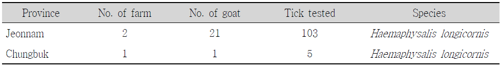 Identification of ticks from goats