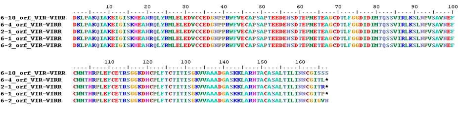 Sequencing of VIR genes from Korean orf viruses in goats