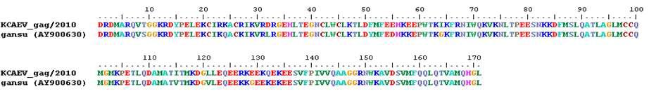 Sequencing of gag gene from Korean CAEV of goat