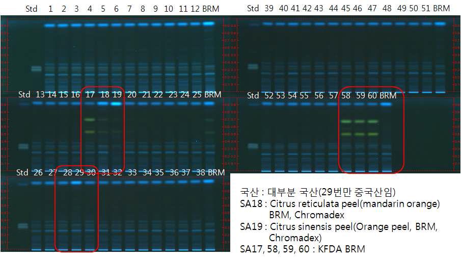 산지별 진피 시료 패턴비교