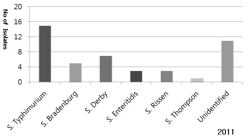 Distribution of Salmonella serotype from cow