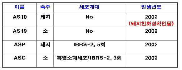 P11 CDR 교체를 위한 바이러스주 후보