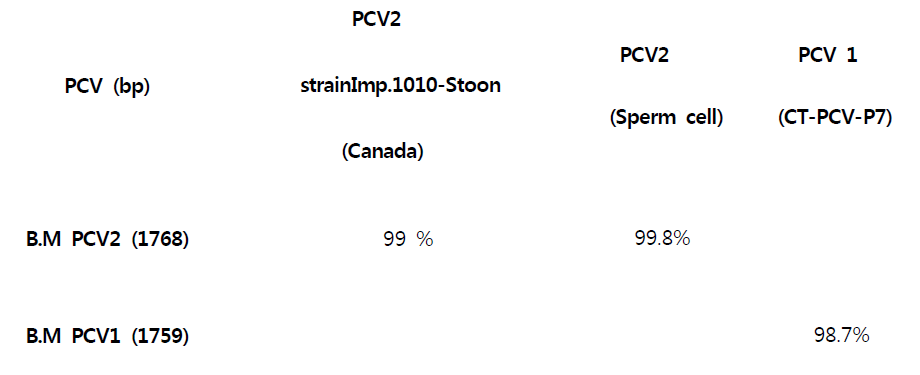 Comparison of sequence identities with reference PCV 2 and PCV1