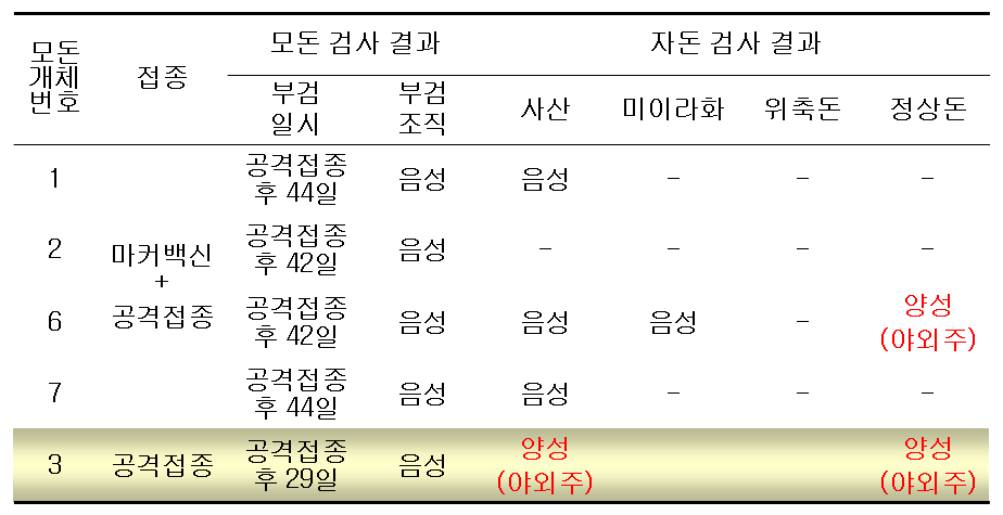 모돈 및 자돈에서 돼지열병 항원검사(RT-PCR) 결과