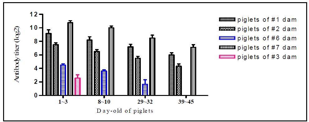 분만 후 자돈에서 돼지열병 항체 추이
