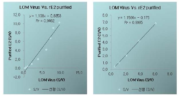 돼지열병 E2 subunit 백신의 E2 함량 표준 측정을 위한 rE2 단백질과 LOM virus 상관관계