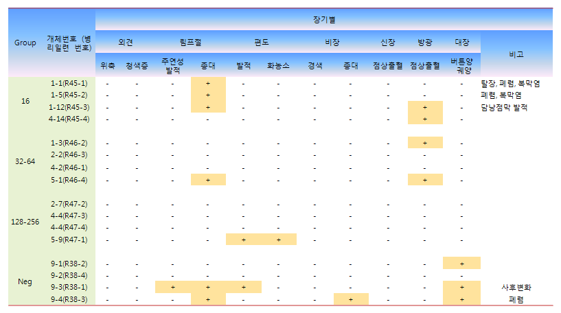 공격접종 후 부검시 육안소견