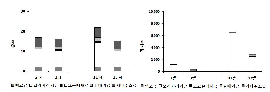 2011년 겨울철 금호호의 주요 수조류의 월별 종수와 개체수 현황