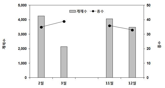 2011년 겨울철 여자만에서 관찰된 월별 조류 종수와 개체수
