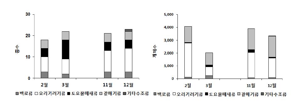 2011년 겨울철 여자만의 주요 수조류의 월별 종수와 개체수 현황