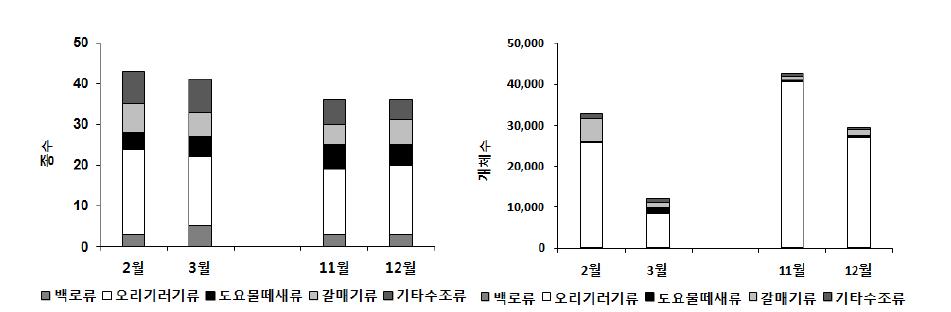 2011년 겨울철 낙동강하구의 주요 수조류의 월별 종수와 개체수 현황