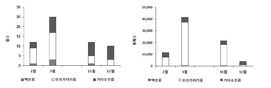 2011년 겨울철 철원평야의 주요 수조류의 월별 종수와 개체수 현황