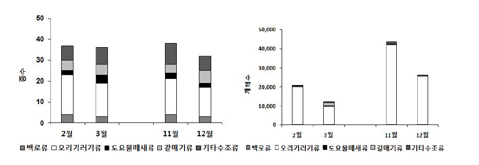 2011년 천수만 간월호의 주요 수조류의 월별 종수와 개체수 현황