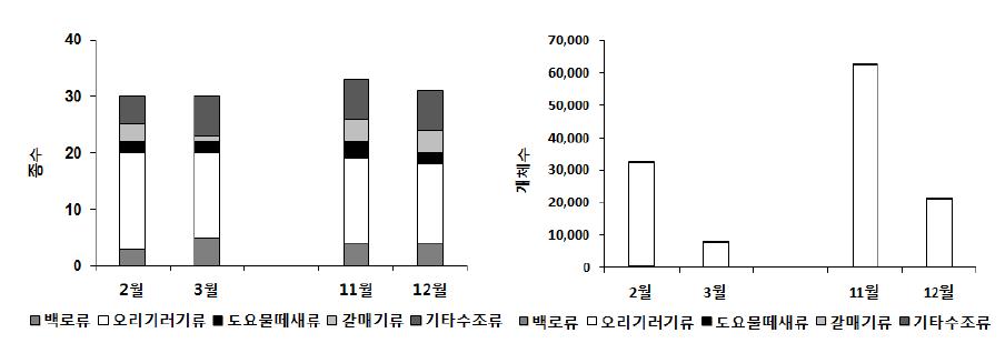 2011년 겨울철 부남호의 주요 수조류의 월별 종수와 개체수 현황