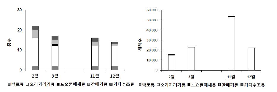 2011년 겨울철 금강호의 주요 수조류의 월별 종수와 개체수 현황